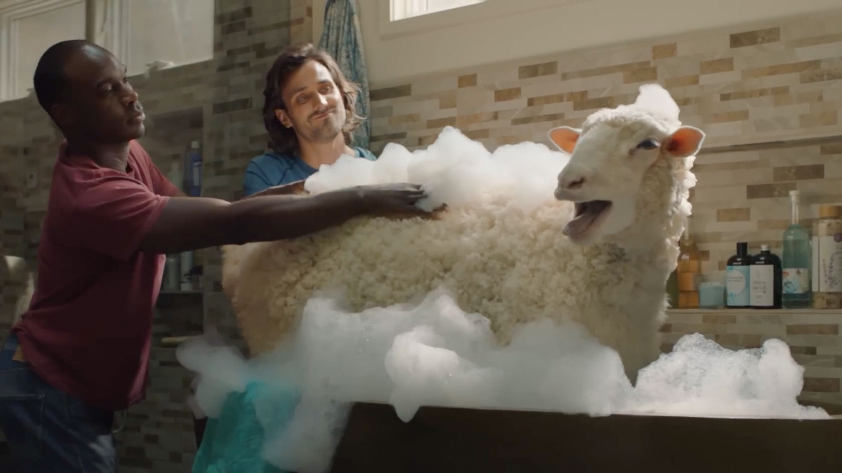 Sheep Star in Latest Volkswagen Ad From JL Muse by Clio